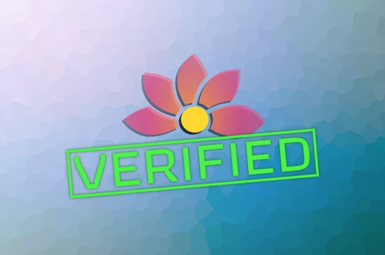 Piastrix: стоит ли проходить верификацию кошелька и что вы получите?